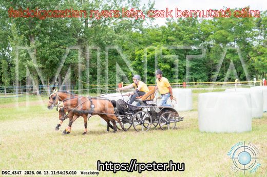 Mintakép 20260613-1294