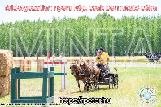 Mintakép 20260613-1297