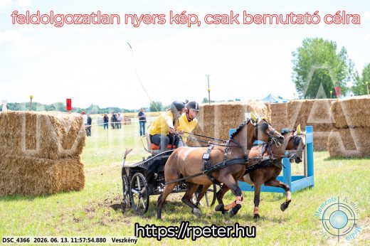 Mintakép 20260613-1298