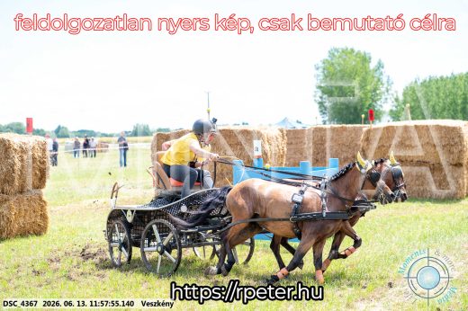 Mintakép 20260613-1299