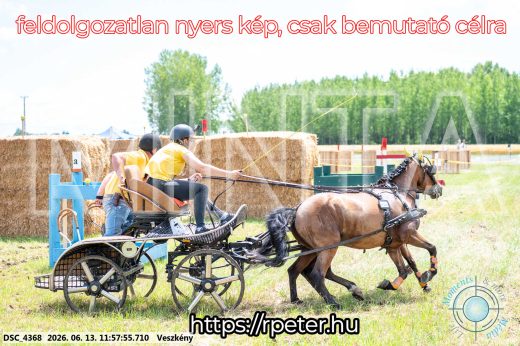 Mintakép 20260613-1300