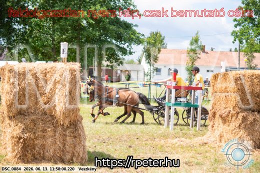 Mintakép 20260613-1301