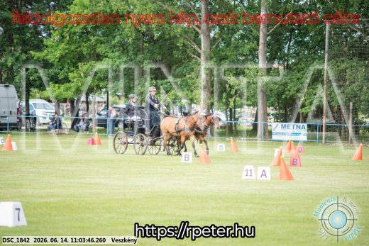 Mintakép 20260614-486