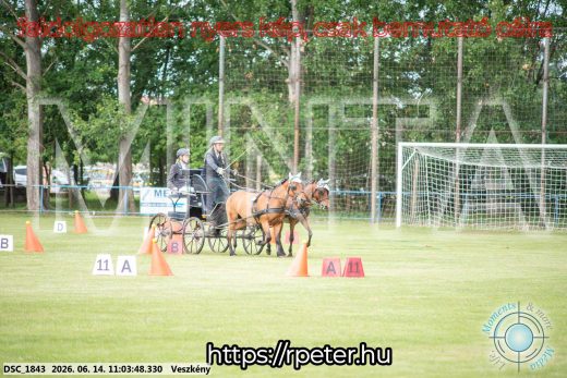 Mintakép 20260614-487