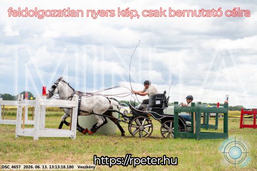 Mintakép 20260613-56