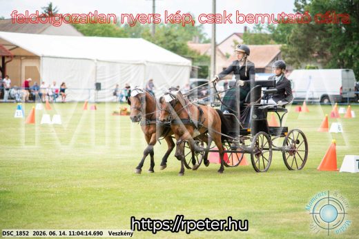 Mintakép 20260614-491