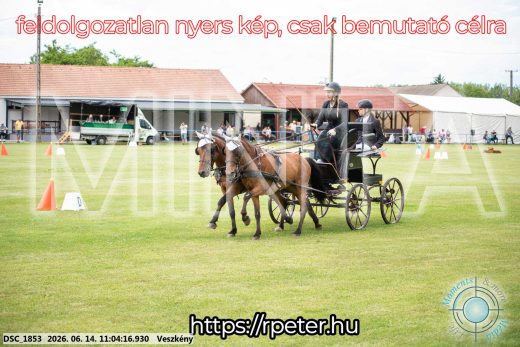 Mintakép 20260614-492