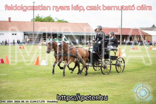 Mintakép 20260614-493