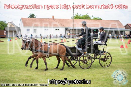 Mintakép 20260614-494