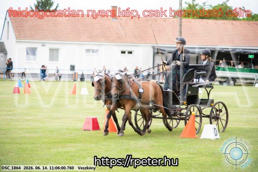 Mintakép 20260614-503