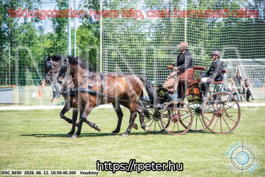 Mintakép 20260612-653
