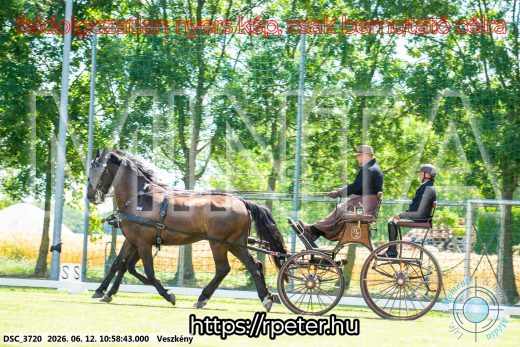 Mintakép 20260612-654