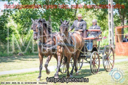 Mintakép 20260612-656