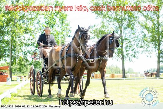 Mintakép 20260612-660