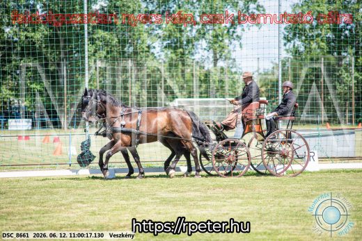 Mintakép 20260612-661