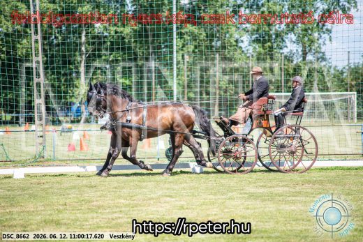 Mintakép 20260612-662