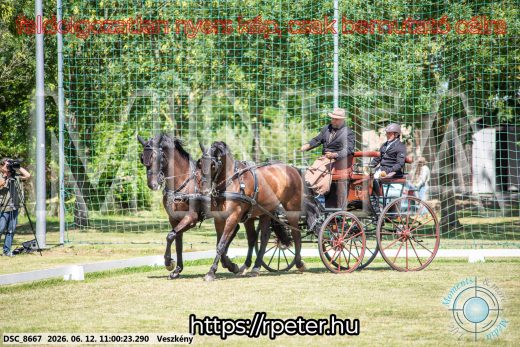 Mintakép 20260612-664
