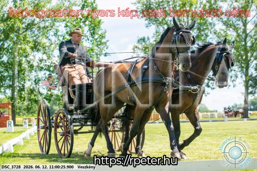 Mintakép 20260612-665