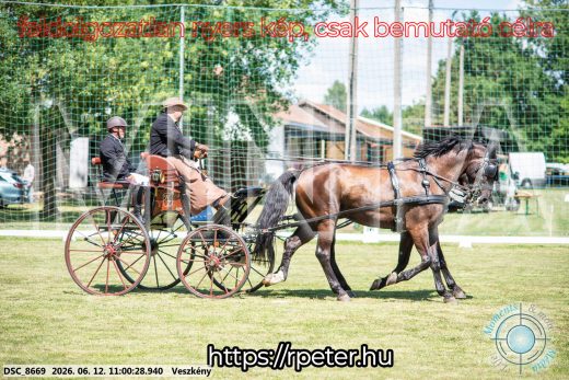 Mintakép 20260612-667