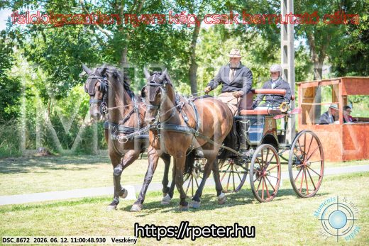 Mintakép 20260612-668