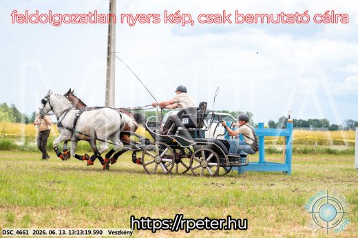 Mintakép 20260613-60