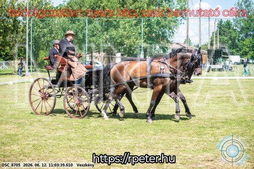Mintakép 20260612-678