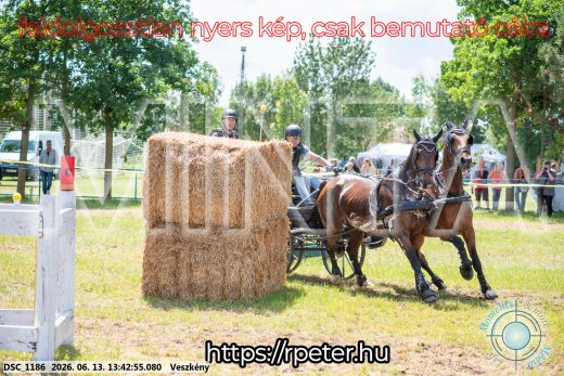 Mintakép 20260613-1303