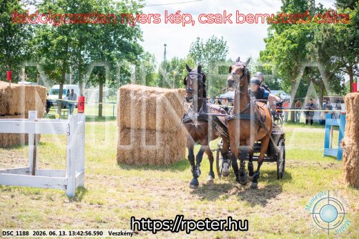 Mintakép 20260613-1305