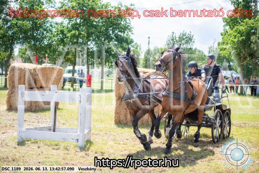 Mintakép 20260613-1306