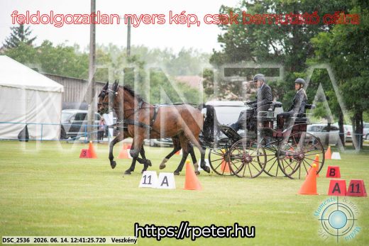 Mintakép 20260614-512