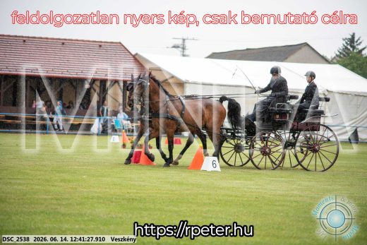 Mintakép 20260614-513