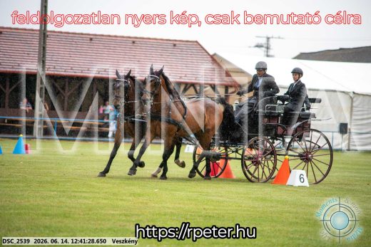Mintakép 20260614-514