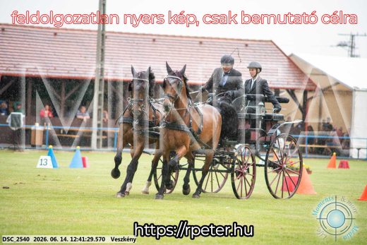 Mintakép 20260614-515