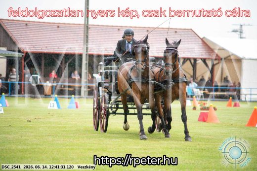 Mintakép 20260614-516