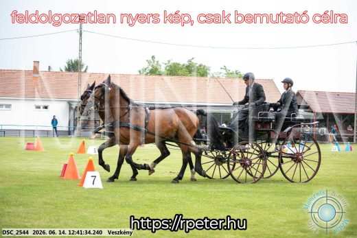 Mintakép 20260614-517