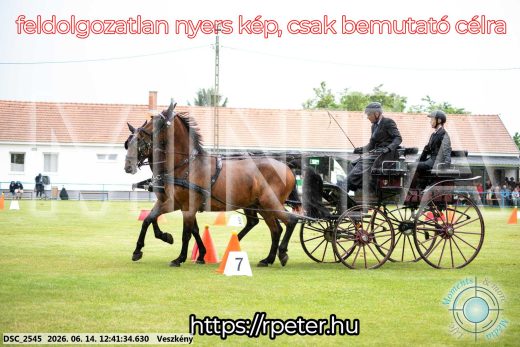 Mintakép 20260614-518