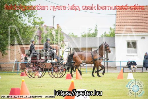 Mintakép 20260614-521
