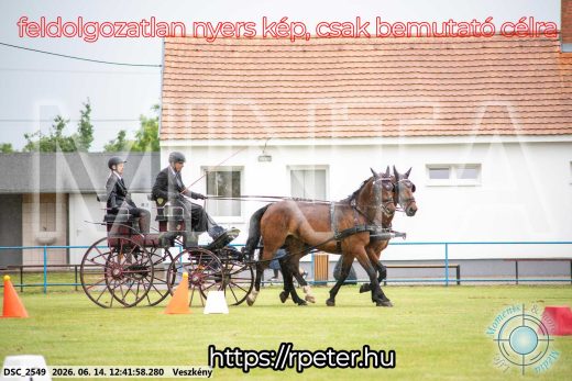 Mintakép 20260614-522
