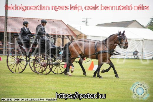 Mintakép 20260614-525