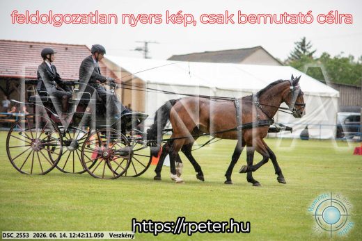 Mintakép 20260614-526