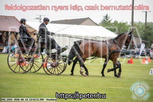 Mintakép 20260614-527