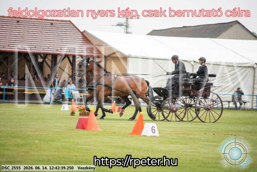 Mintakép 20260614-528