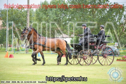 Mintakép 20260614-537