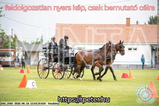 Mintakép 20260614-538