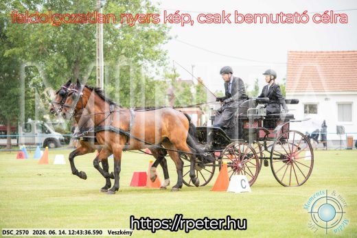 Mintakép 20260614-543