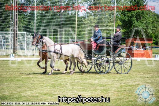 20260612-111441-DSC_8808.jpg