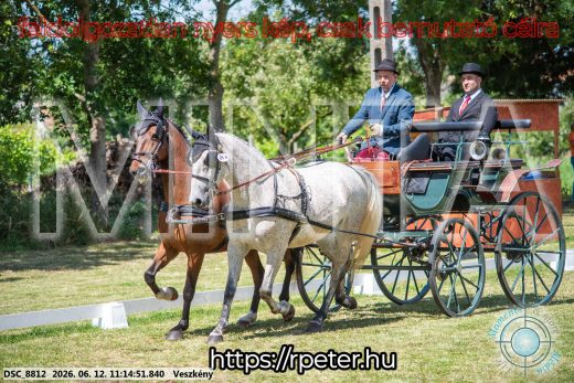 20260612-111451-DSC_8812.jpg