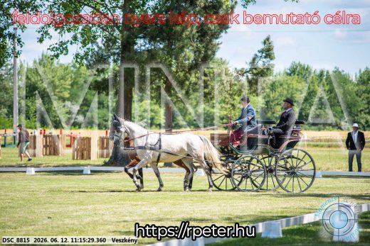 Mintakép 20260612-685
