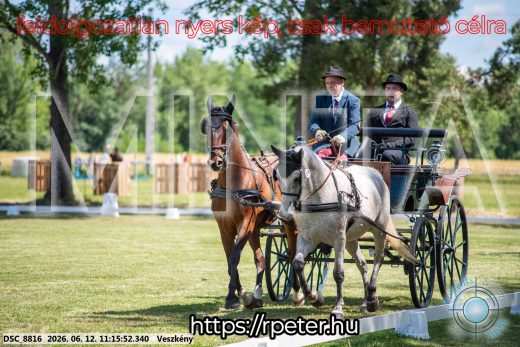 Mintakép 20260612-688
