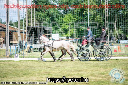 Mintakép 20260612-689